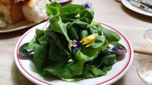 Lettuce salad
