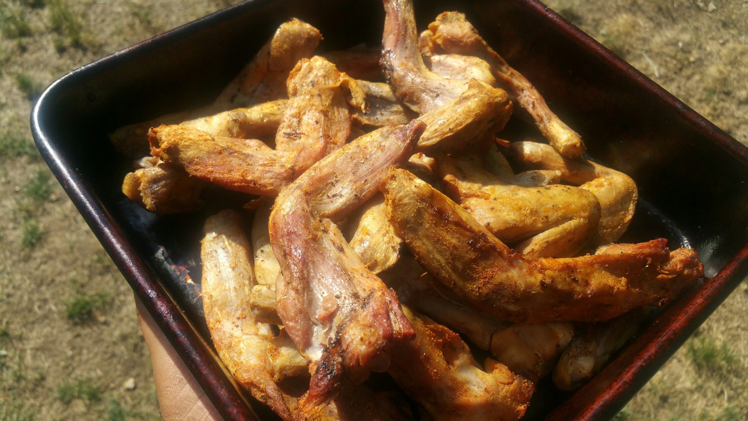 July 4th Meal RecapEspecially Those Alligator Legs! Adrian E. Miller