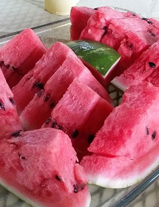 Watermelon Picnic