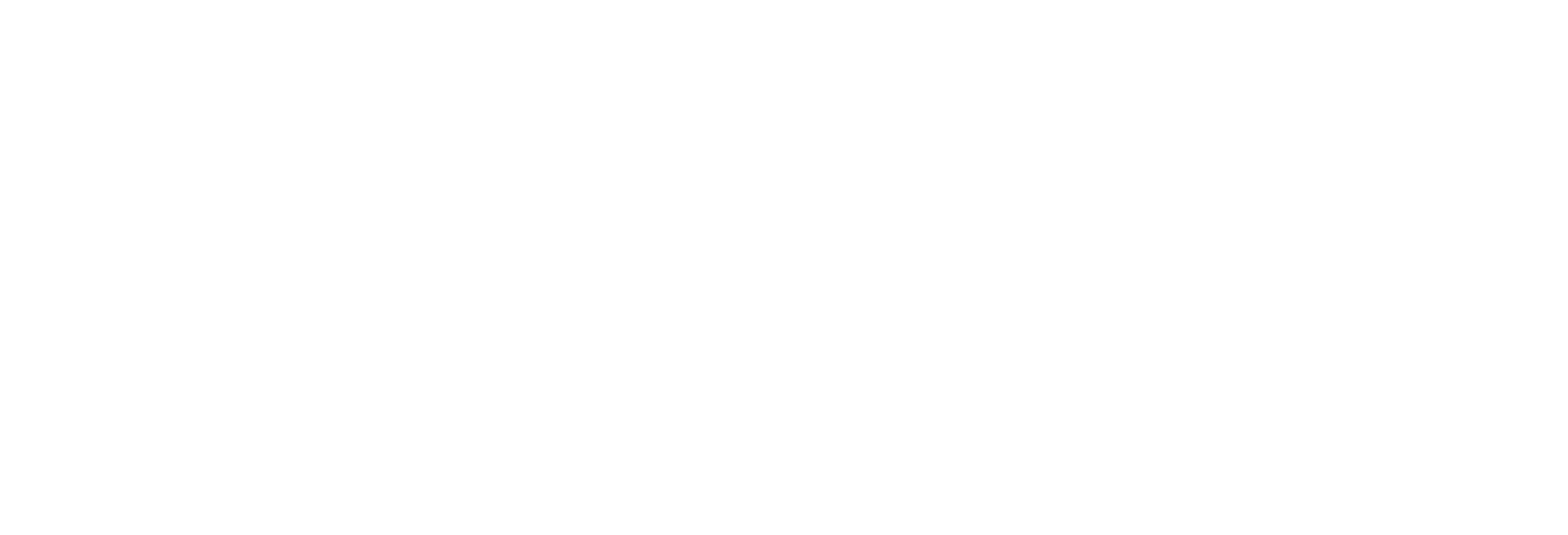 Soul Food Scholar White Logo